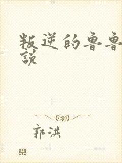 叛逆的鲁鲁修小说