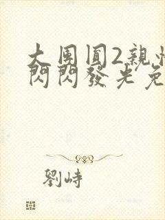 大团圆2亲情会闪闪发光免费