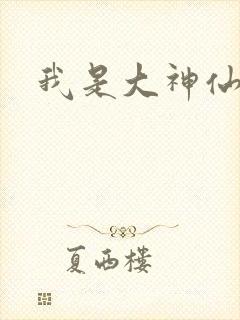 我是大神仙小说