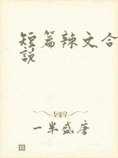 短篇辣文合集小说