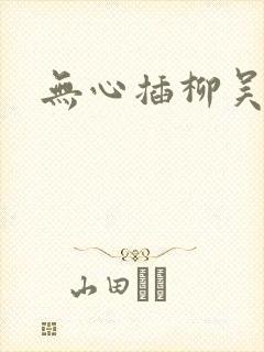 无心插柳吴悠封面