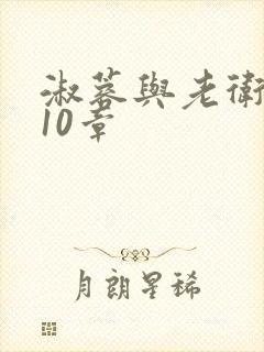 淑蓉与老卫1-10章封面