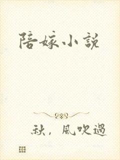 陪嫁小说