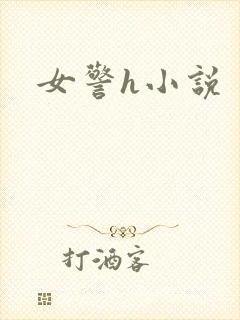 女警h小说封面