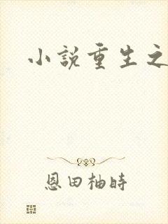 小说重生之官道