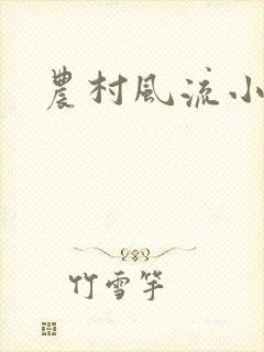 农村风流小说封面