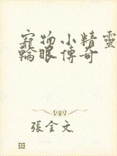 宠物小精灵之写轮眼传奇封面