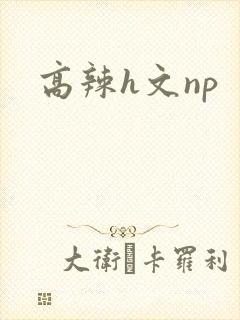 高辣h文np