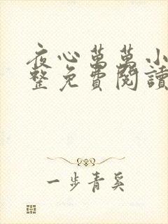 夜心万万小说完整免费阅读全文