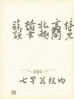 苏榆北高梓淇小说笔趣阁免费阅读