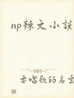 np辣文小说