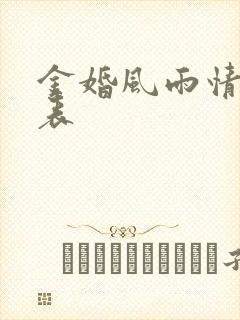 金婚风雨情演员表封面