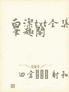 白洁txt全集笔趣阁封面