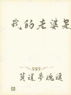 我的老婆是军阀