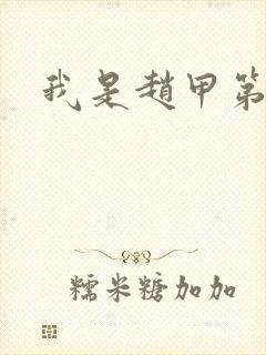 我是赵甲第小说