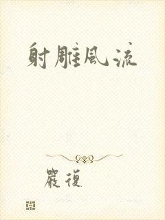 射雕风流封面