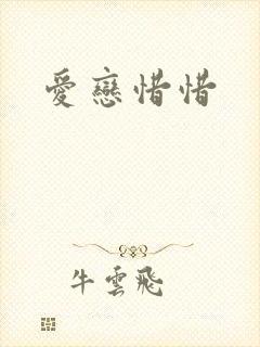 爱恋惜惜封面