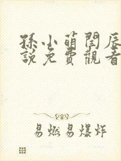 孙小萌闫辰的小说免费观看