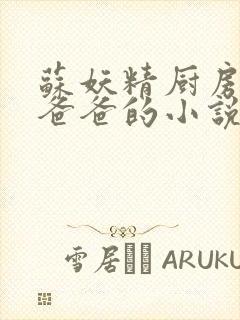 苏妖精厨房爹爹爸爸的小说