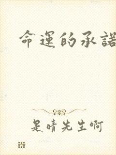 命运的承诺封面