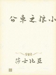 公车之狼小说