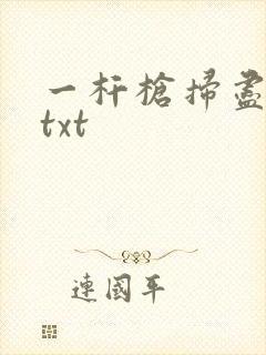 一杆枪扫尽全家txt封面