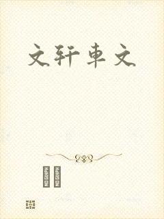 文轩车文