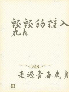 轻轻的推入合欢丸h