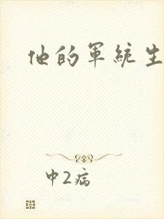 他的军统生涯封面