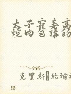 太子宠妾高肉红烧肉包讲的什么