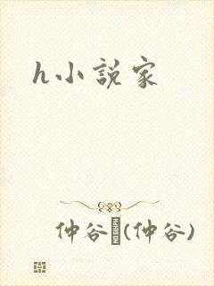 h小说家封面