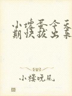 小坏蛋今天危险期快拔出来封面