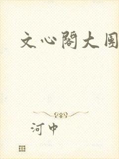文心阁大团结封面