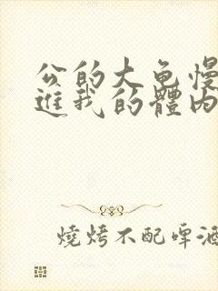 公的大龟慢慢挺进我的体内