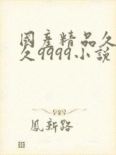 国产精品久久久久9999小说