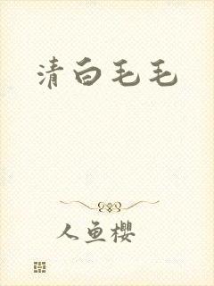清白毛毛