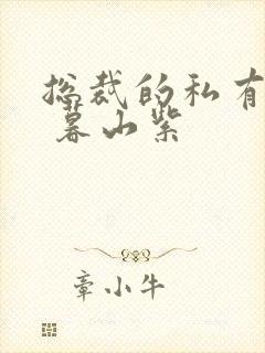 总裁的私有宝贝 暮山紫