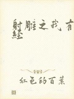 射雕之我有太玄经