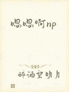 嗯嗯啊np