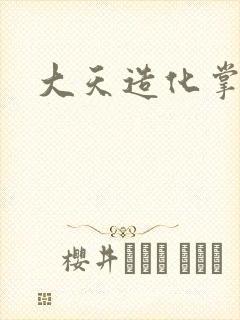 大天造化掌封面