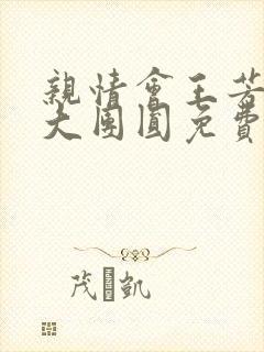 亲情会王芳高敏大团圆免费阅读