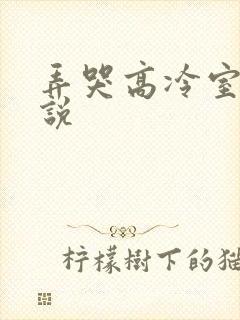 弄哭高冷室友小说