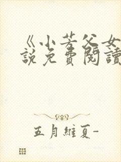 《小芳父女》小说免费阅读