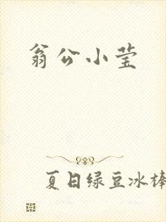 翁公小莹封面