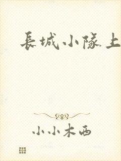 长城小队上中下封面