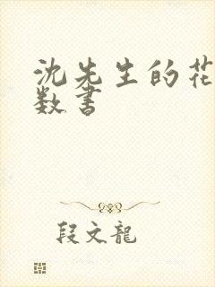 沈先生的花式调数书