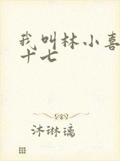 我叫林小喜今年十七封面
