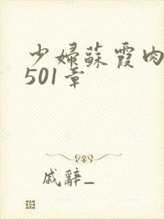 少妇苏霞肉欲第501章