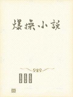爆操小说