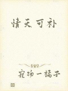 情天可补